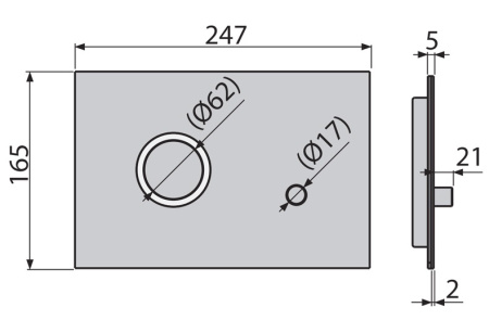 Клавиша для инсталляции Alcaplast  STING-INOX  